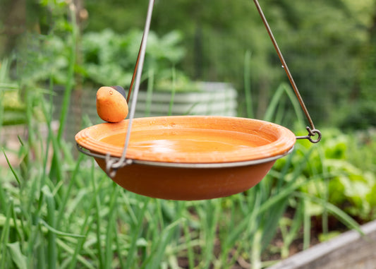 Add Charm to Your Garden with Decor (No DIY Required!)