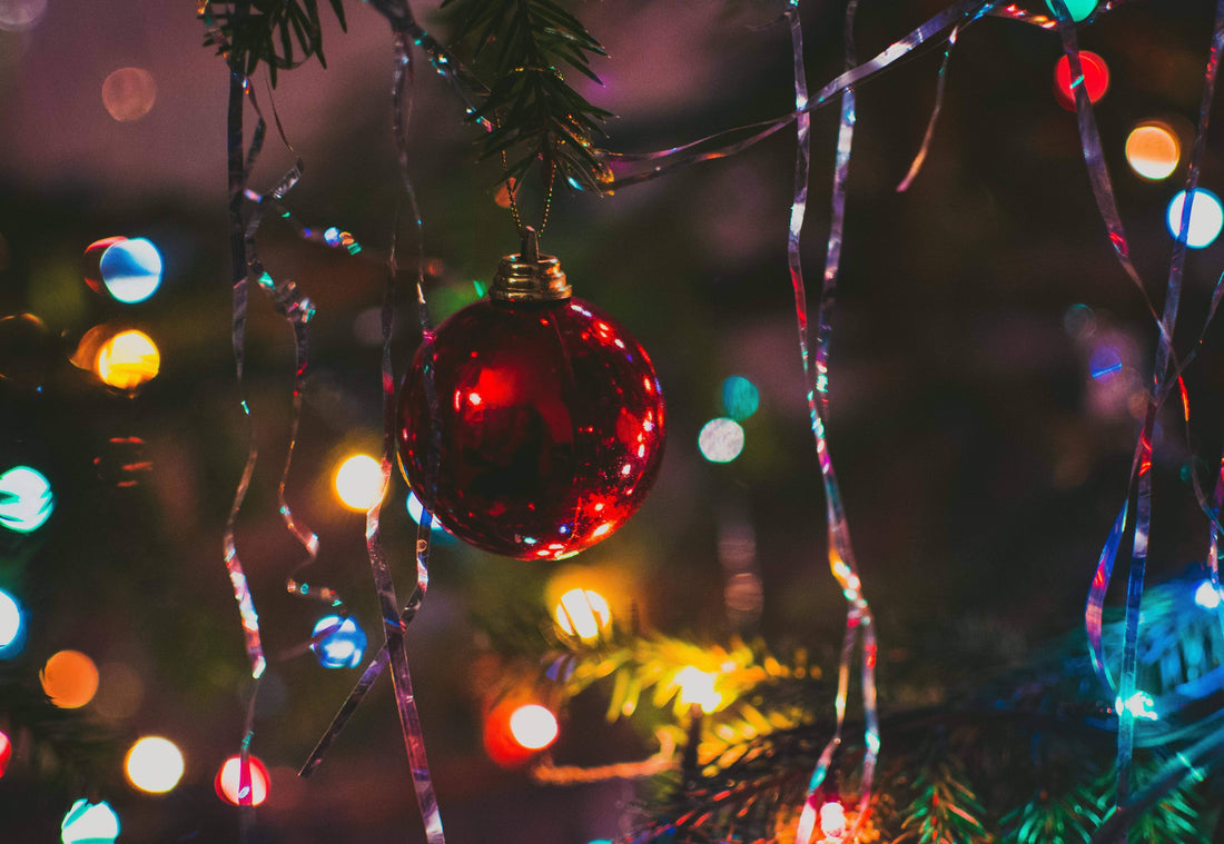 Top 10 Christmas Gardens Around the World