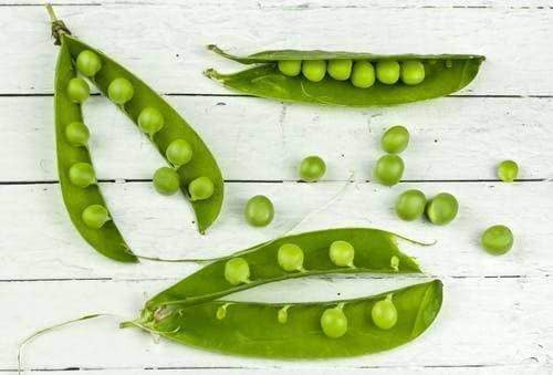 getting your garden ready for spring