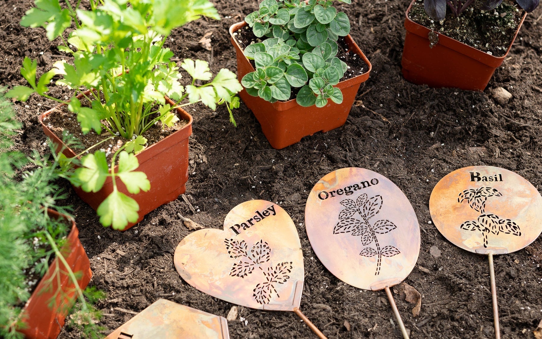 Creating A Herb Garden: Tips, Benefits & Supply List