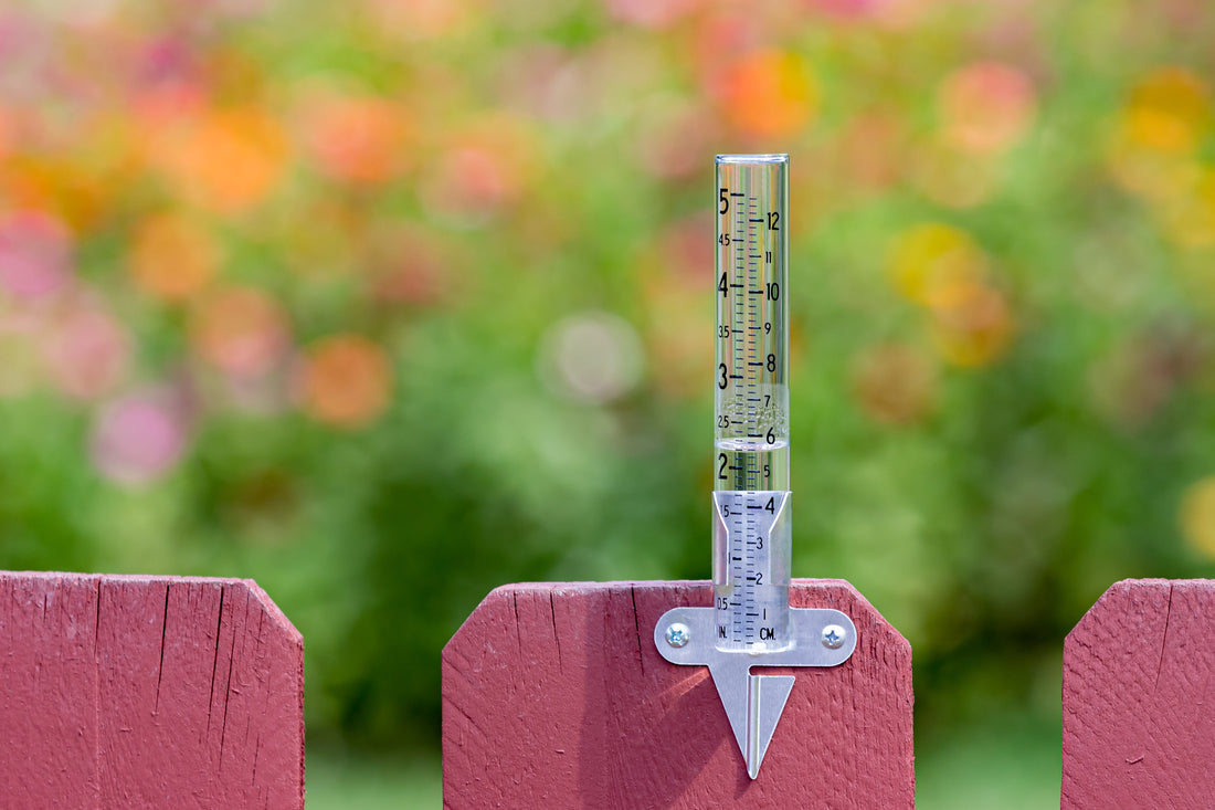 How Does A Rain Gauge Measure Rainfall?