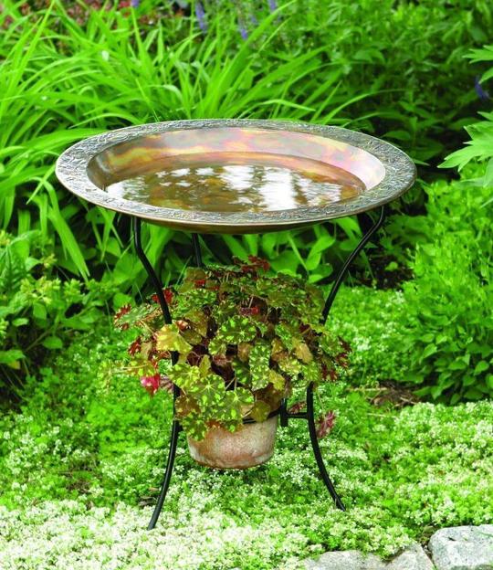 Where to place a birdbath in your garden