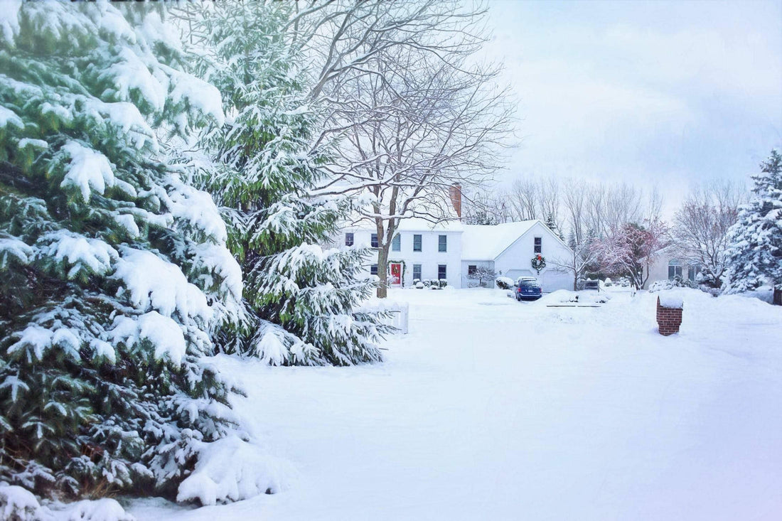a white christmas garden