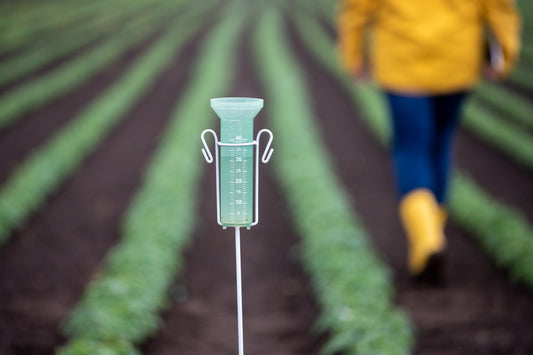 a history of rain gauges