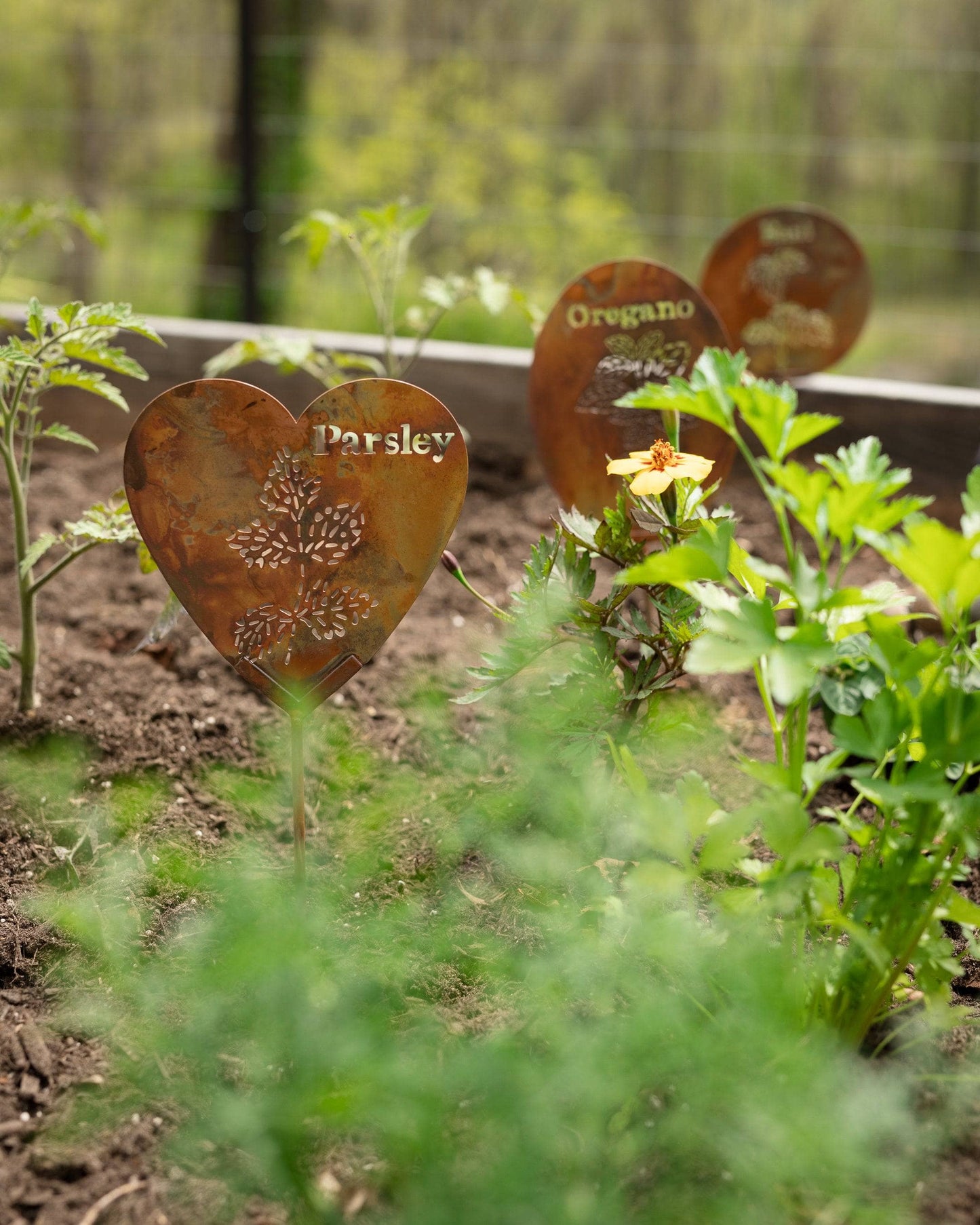 Happy Gardens - Oregano Herb Garden Stake