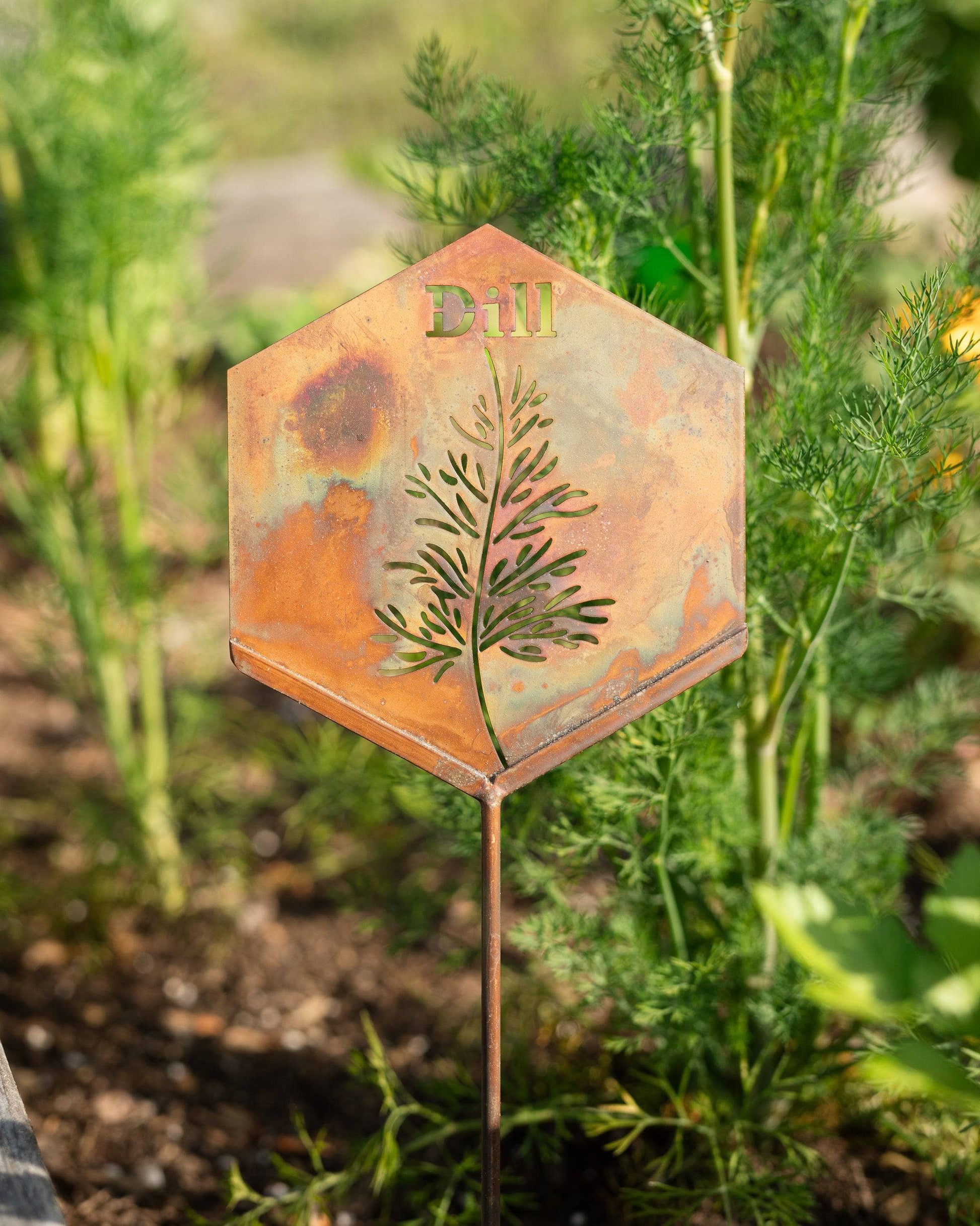 Happy Gardens - Dill Herb Garden Stake