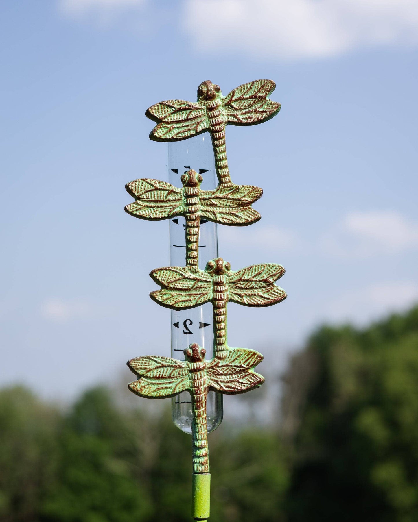 Happy Gardens - Cast Brass Dragonfly Rain Gauge