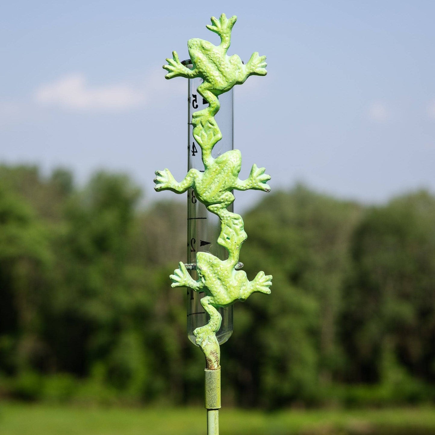 Happy Gardens - Cast Brass Frog Rain Gauge