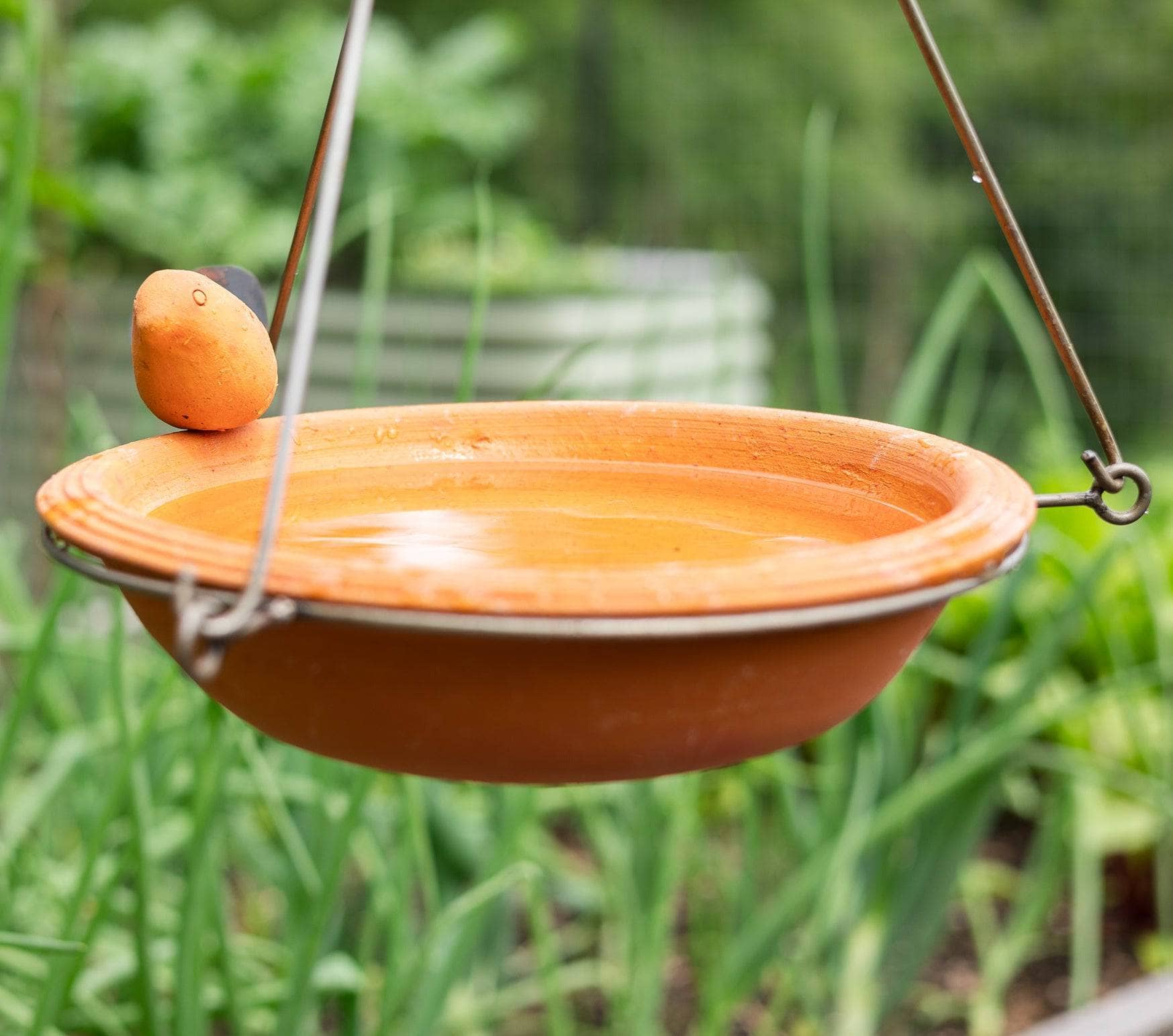 Happy Gardens - Hanging Spice Bird Bath