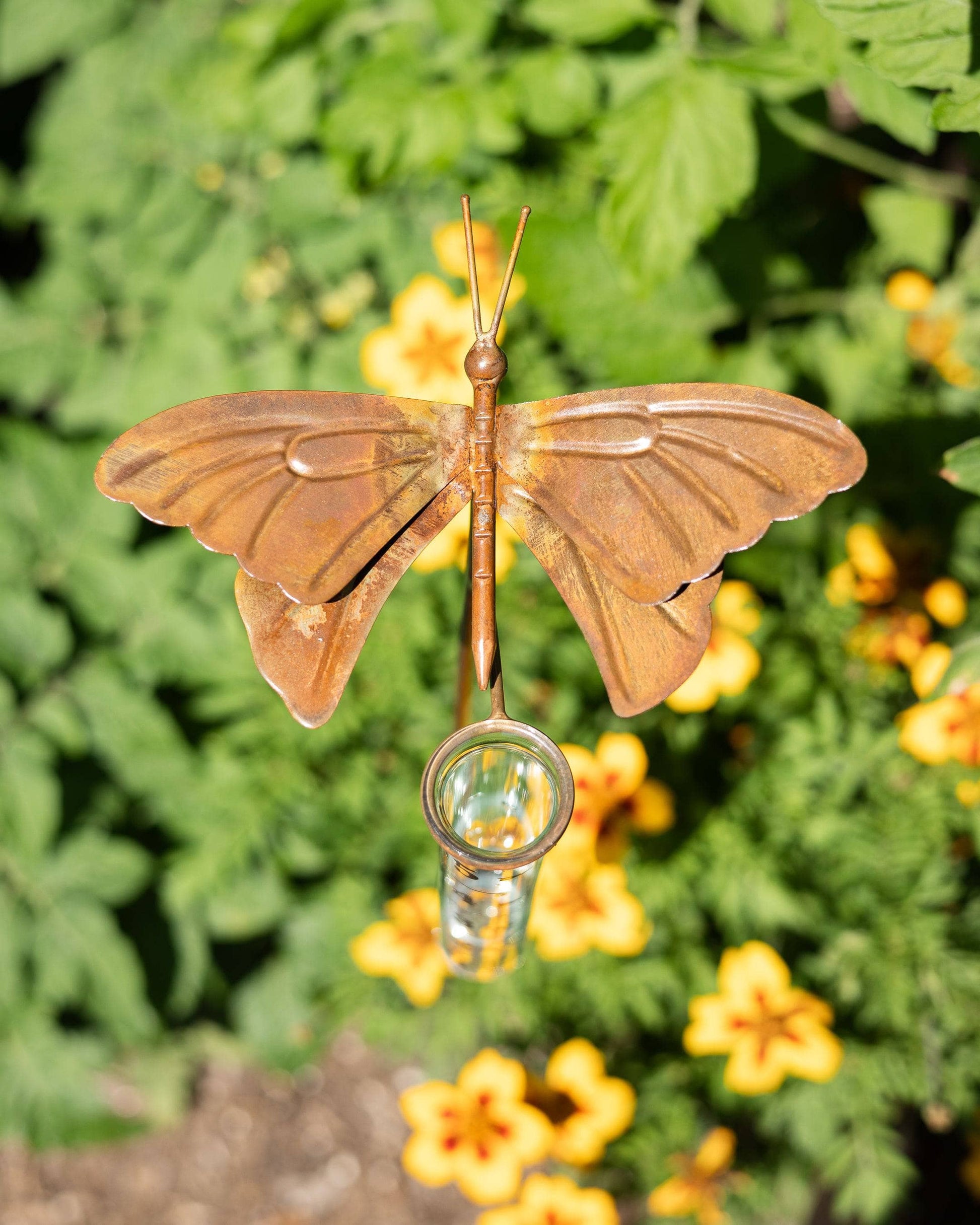 Happy Gardens - Butterfly Rain Gauge