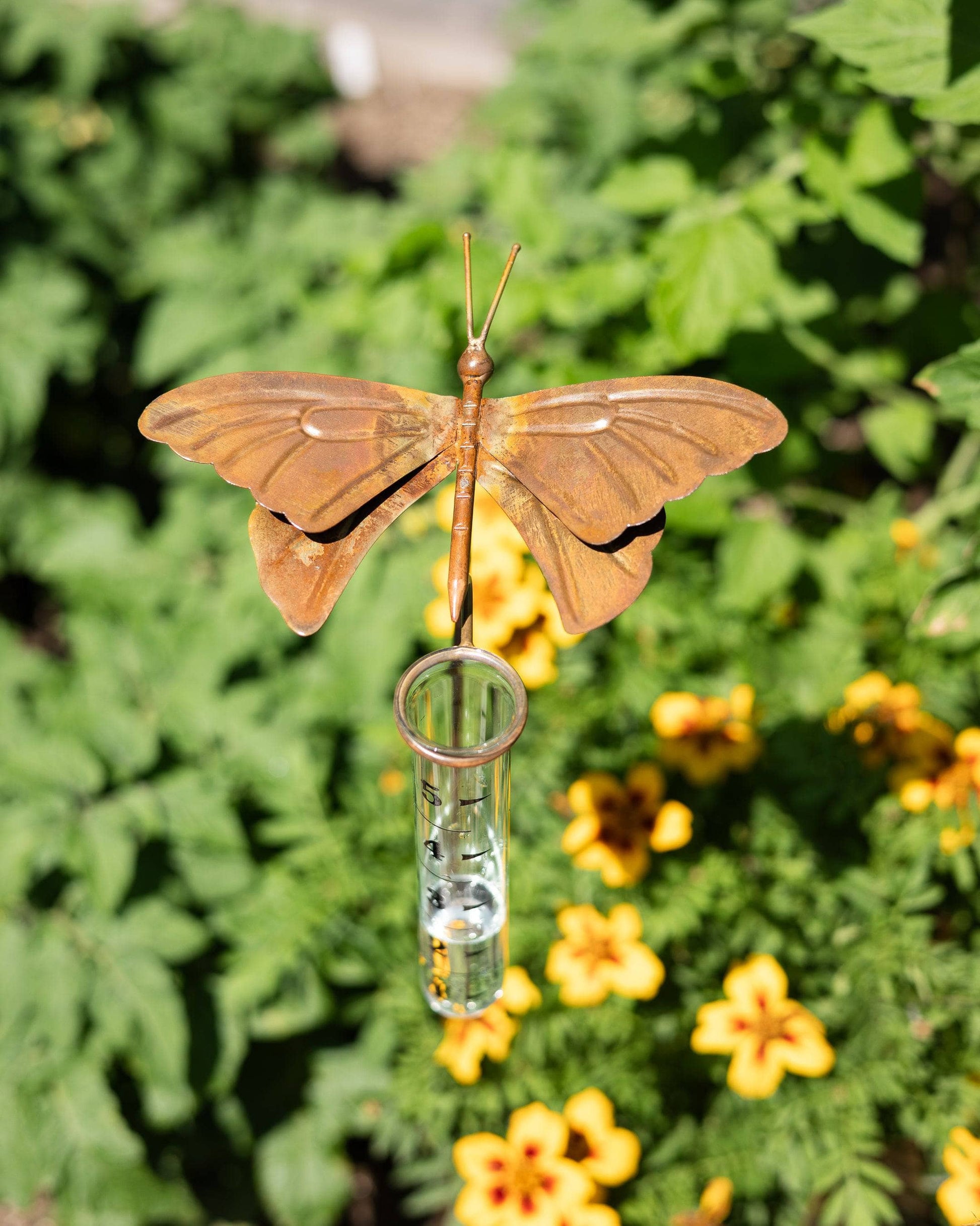 Happy Gardens - Butterfly Rain Gauge