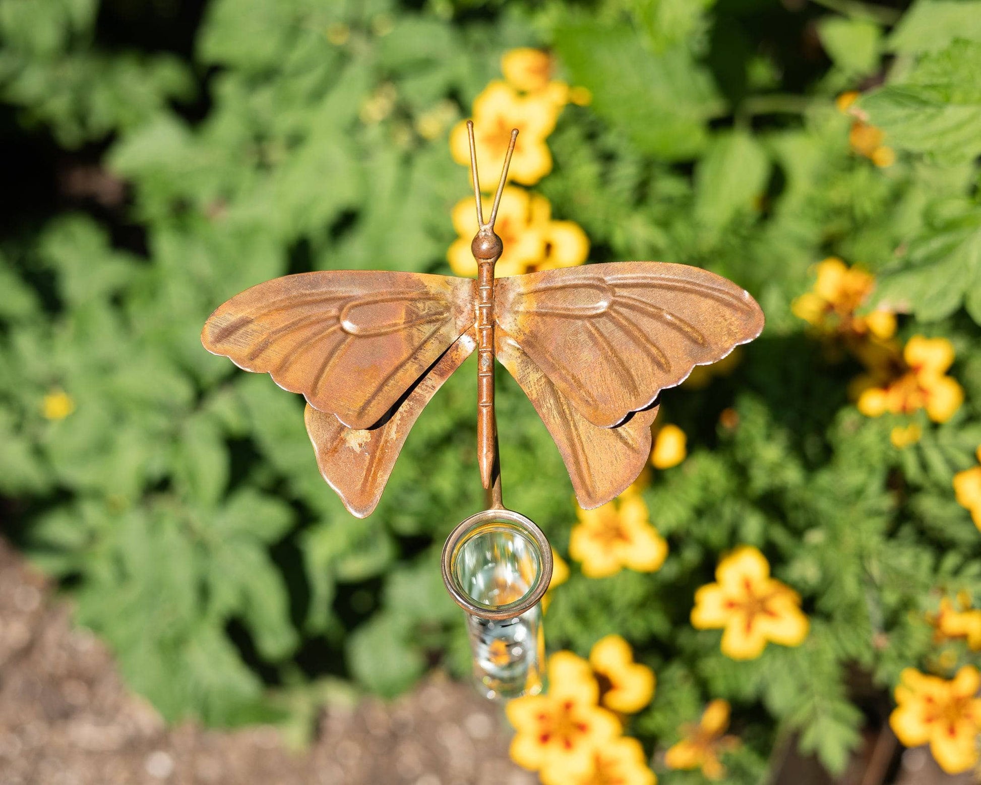 Happy Gardens - Butterfly Rain Gauge