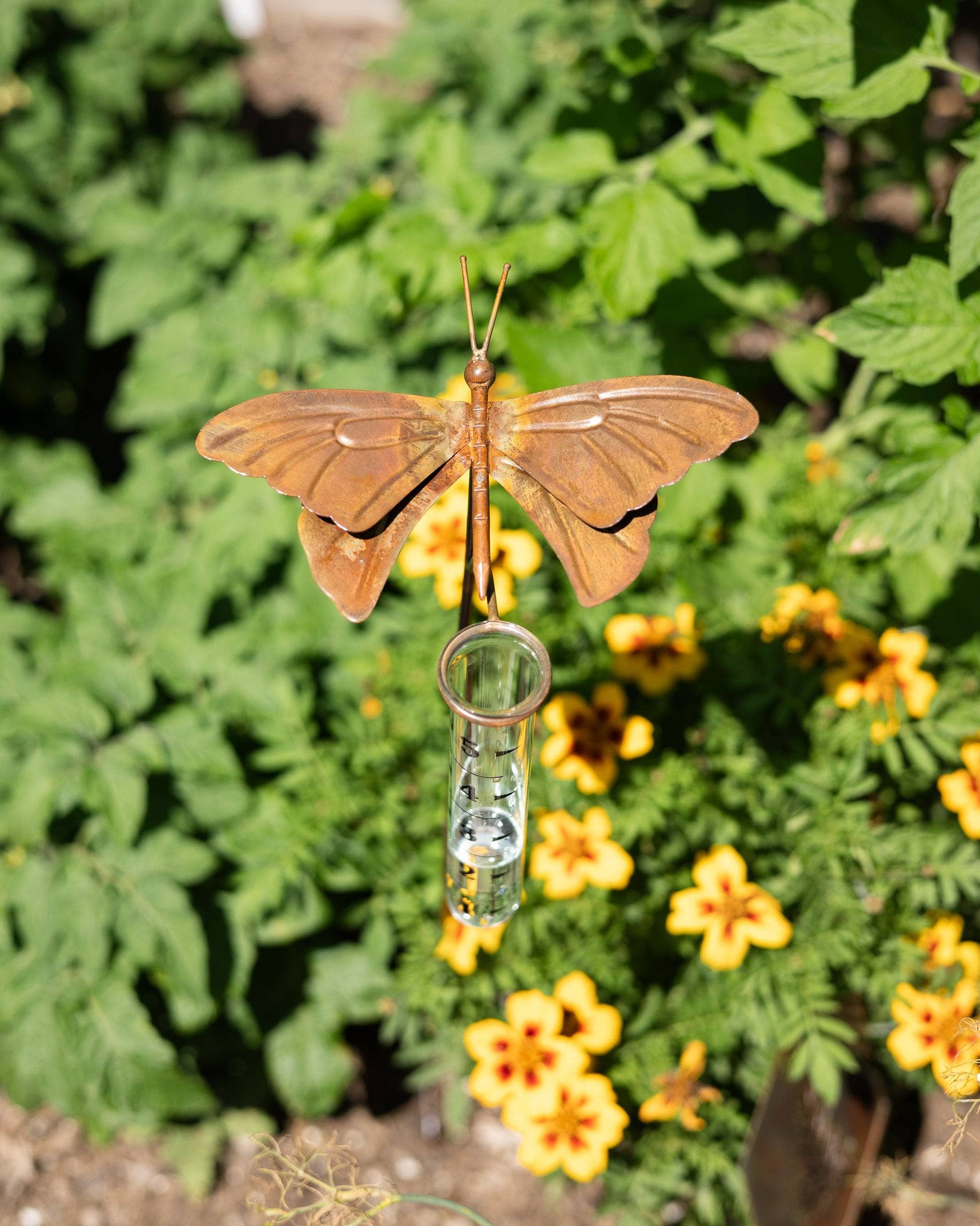 Happy Gardens - Butterfly Rain Gauge
