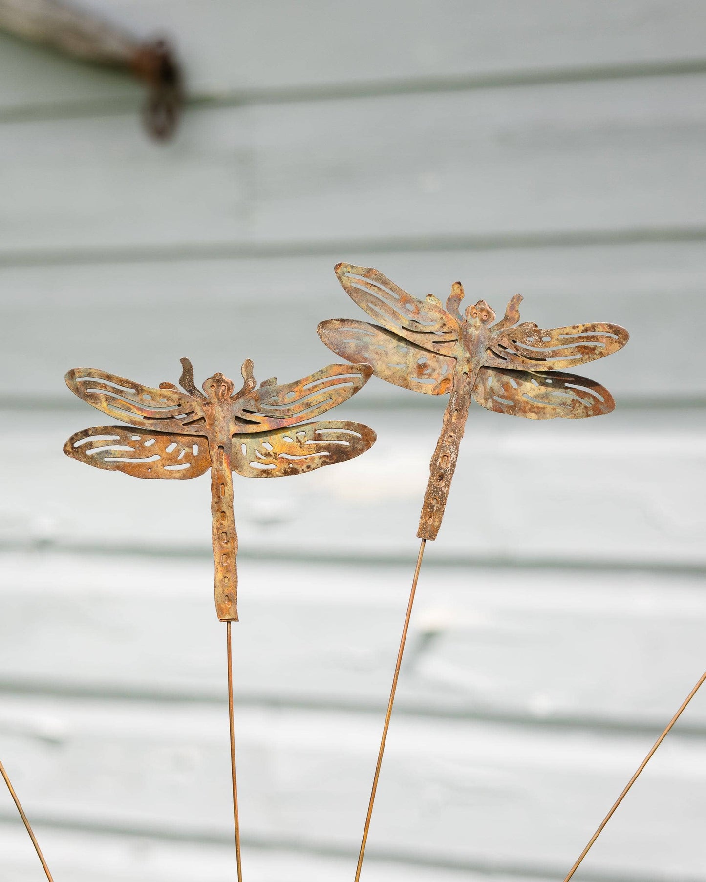 Happy Gardens - Dragonfly Whimsy Flutterer