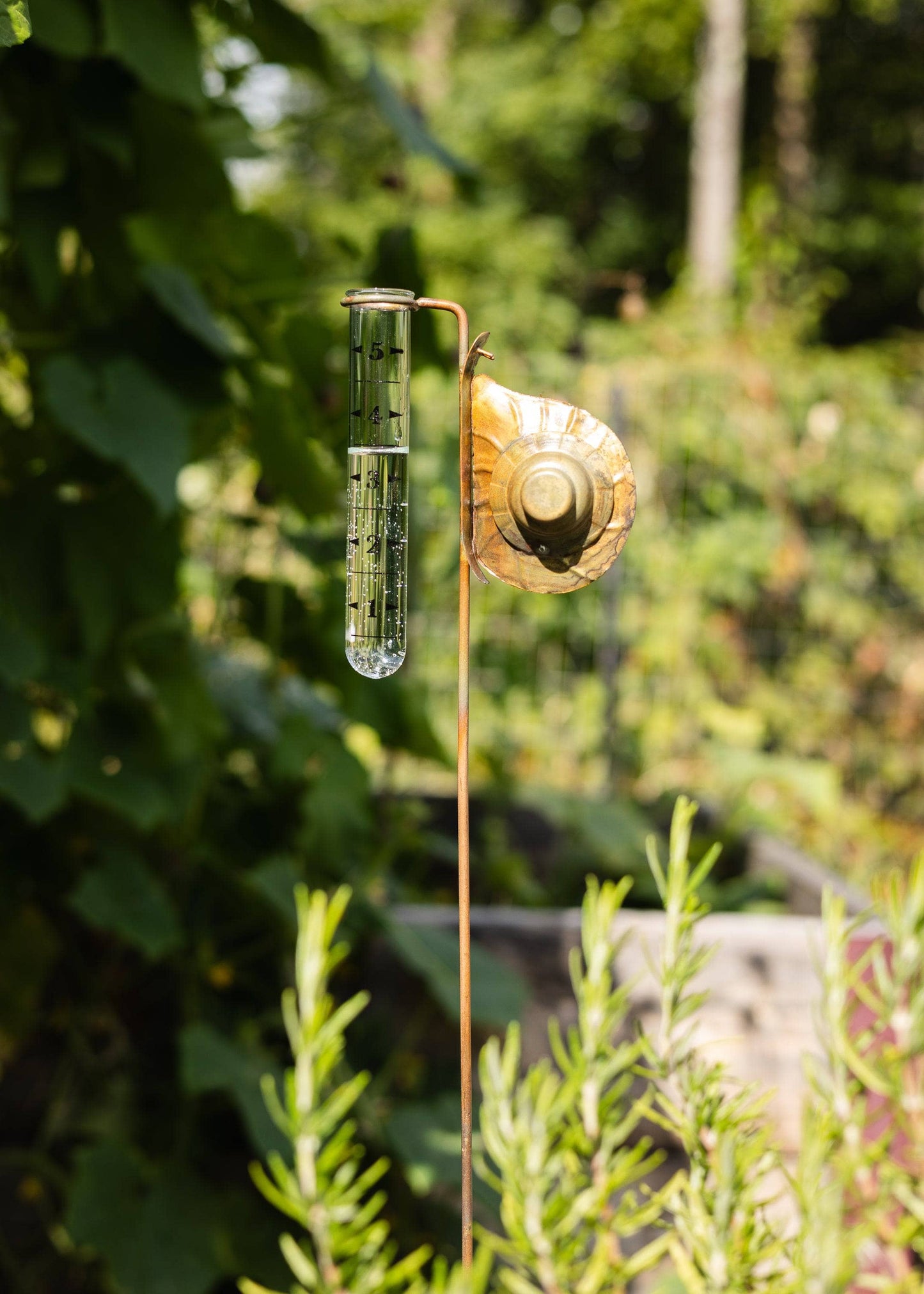 Happy Gardens - Snail Rain Gauge
