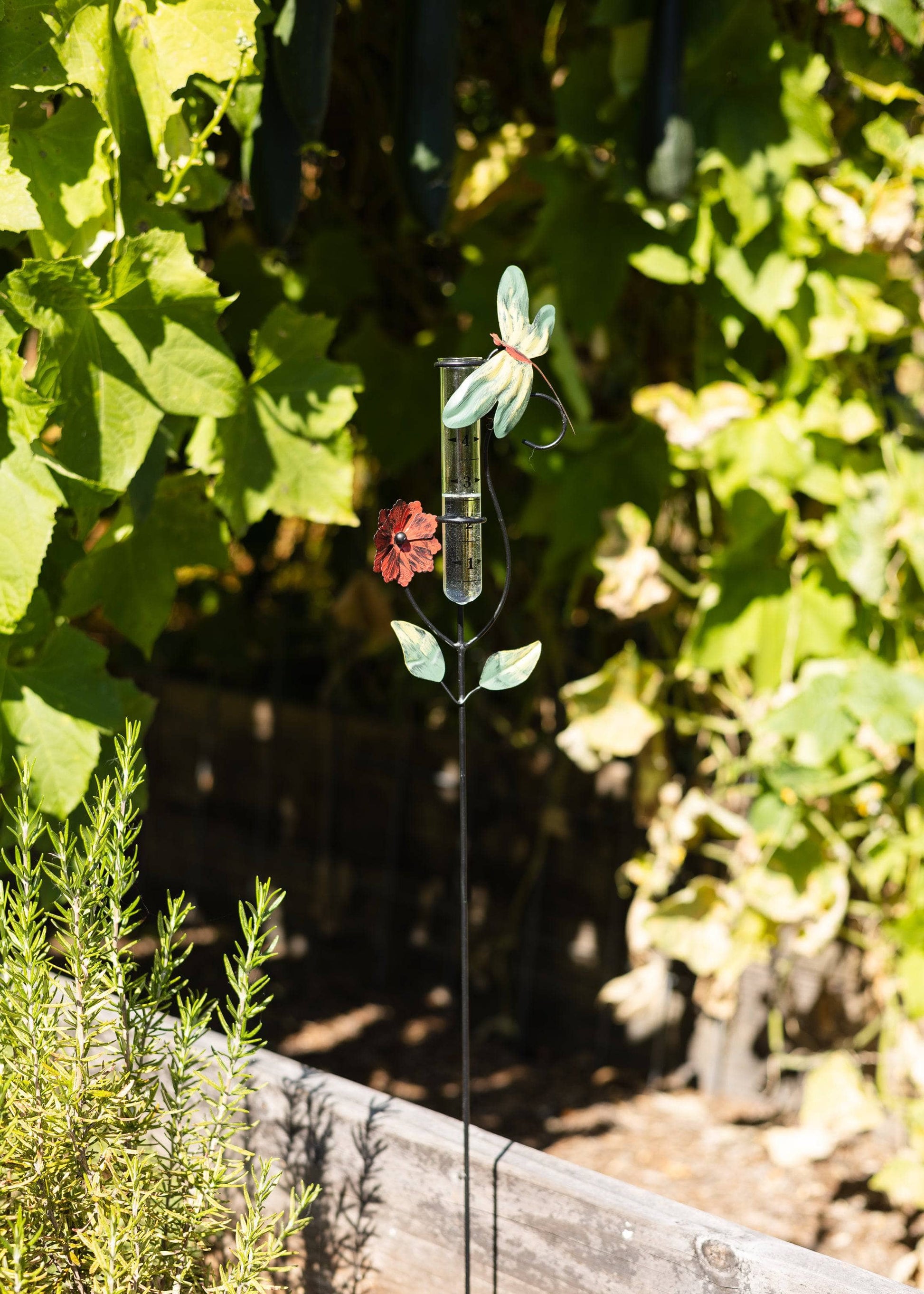 Happy Gardens - Dragonfly Multicolor Rain Gauge