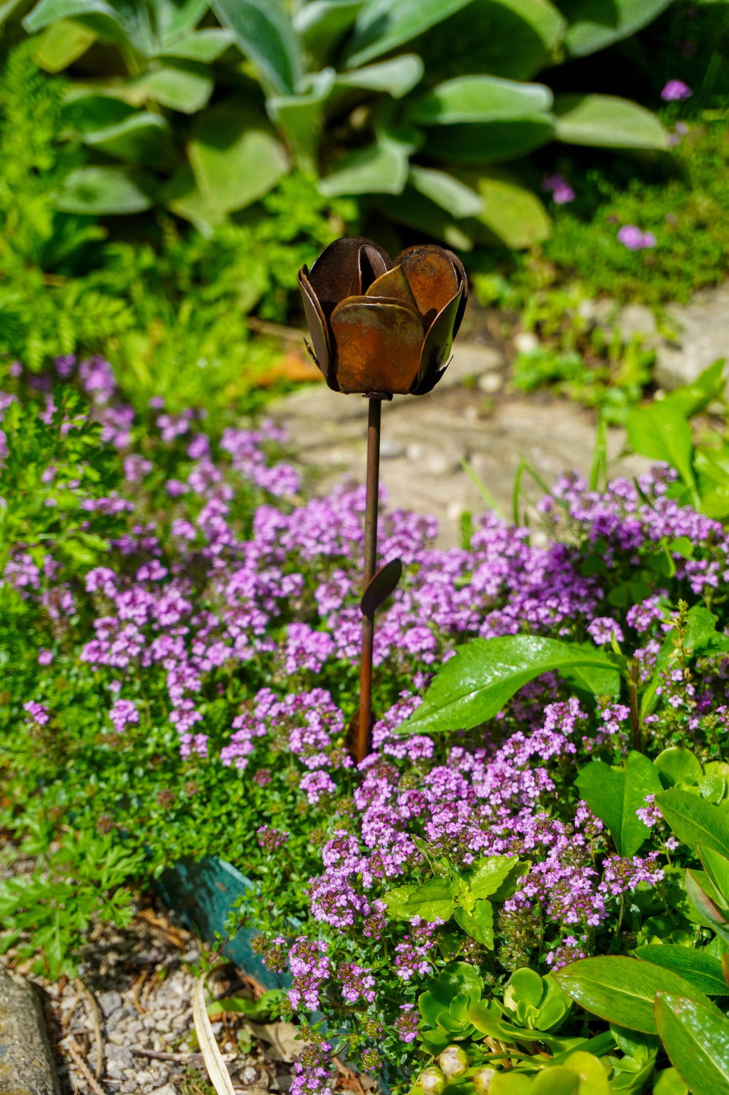 Flamed Rose Plant Pick - Happy Gardens