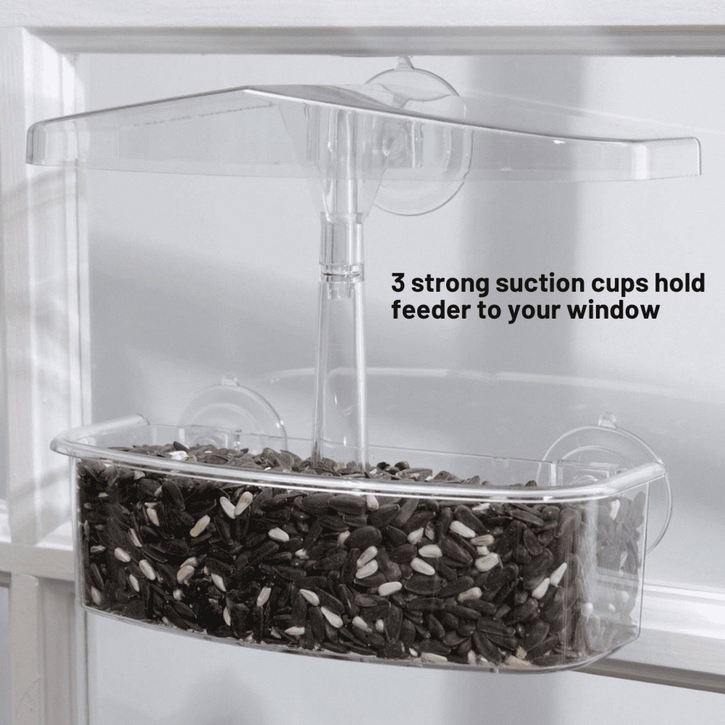 Observer Window Bird Feeder - Happy Gardens