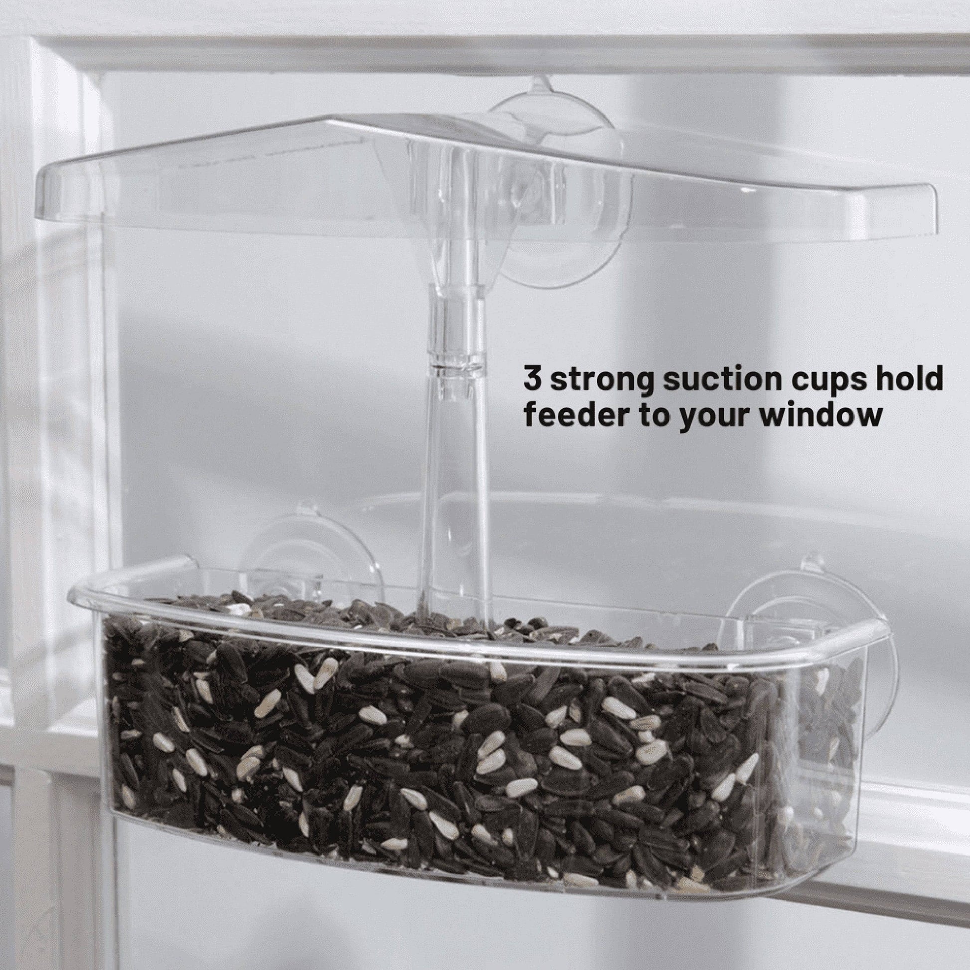 Observer Window Bird Feeder - Happy Gardens