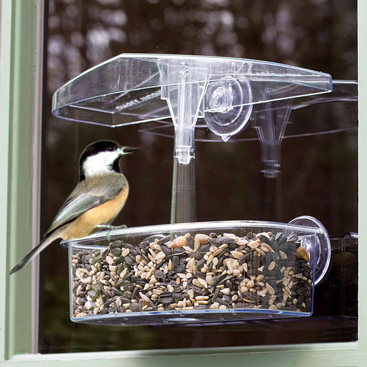 Observer Window Bird Feeder - Happy Gardens