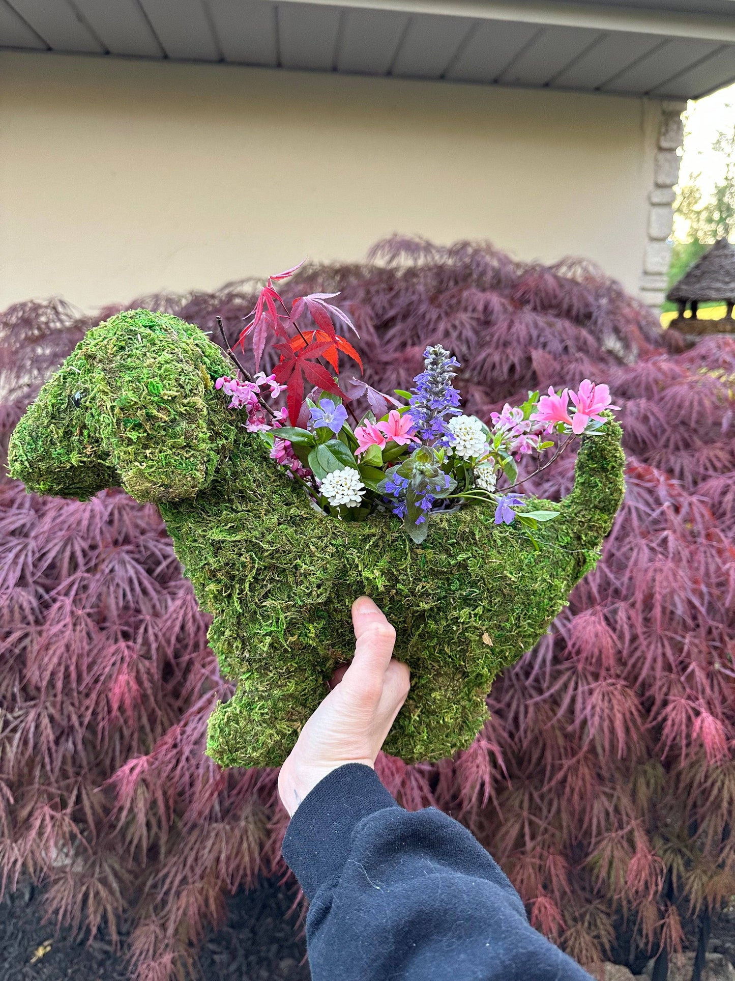 Puppy Moss Planter - Happy Gardens