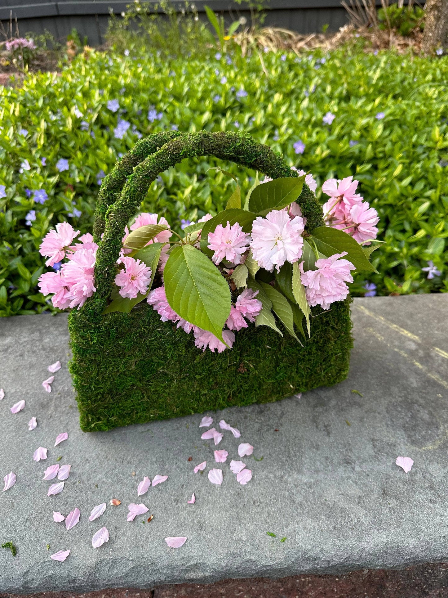 Beaumont Purse Moss Planter - Happy Gardens