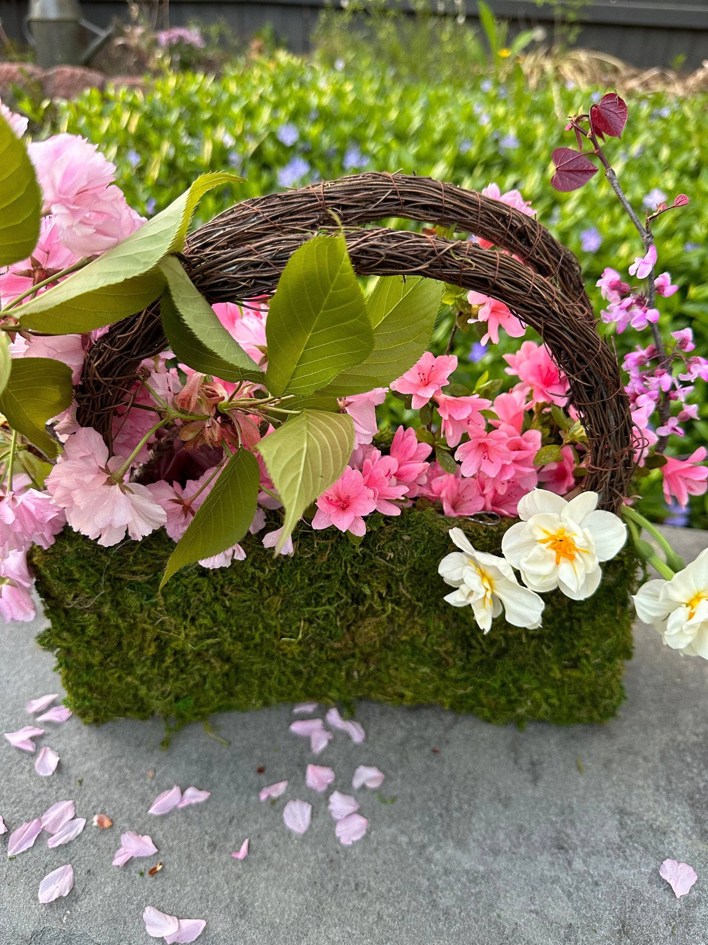 Beaumont Moss Purse Planters - Happy Gardens