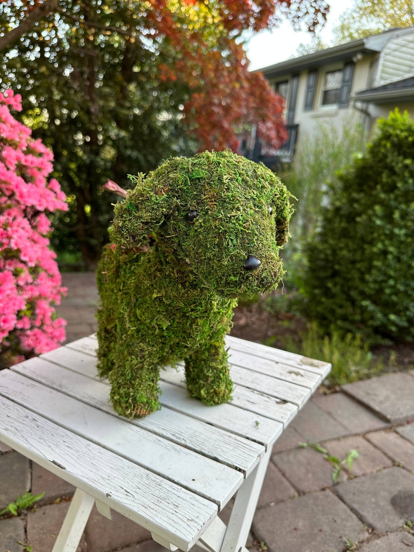 Puppy Moss Planter - Happy Gardens
