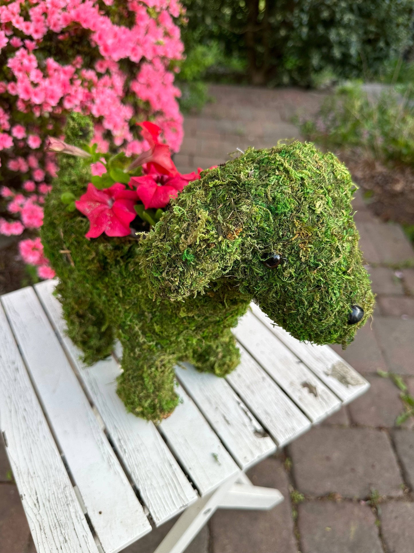 Puppy Moss Planter - Happy Gardens