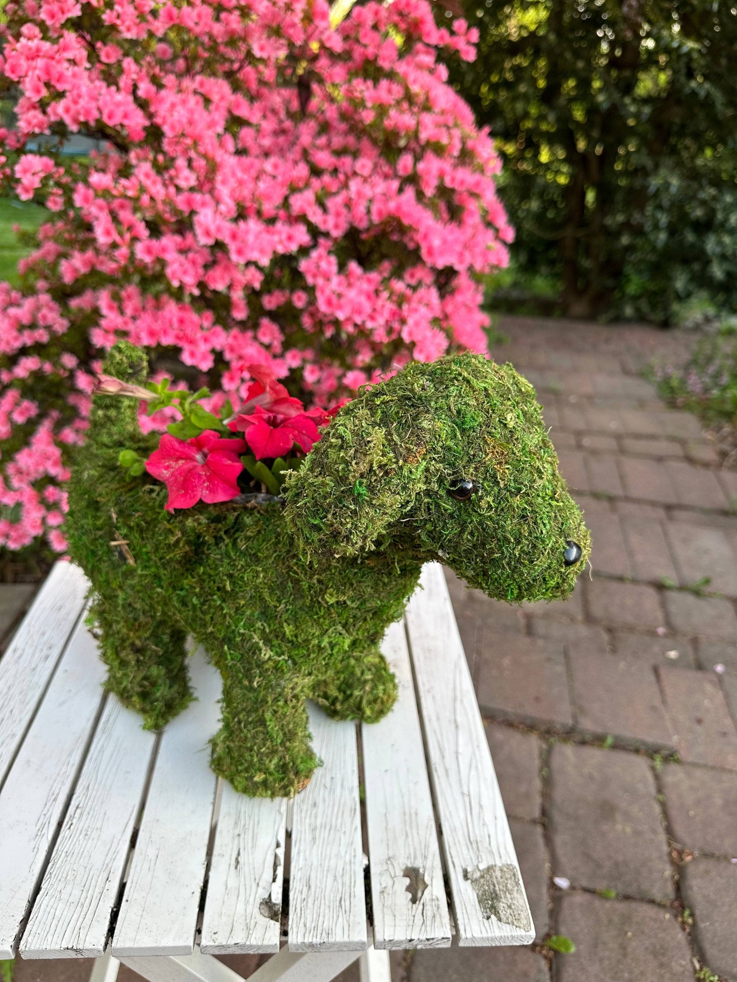 Puppy Moss Planter - Happy Gardens