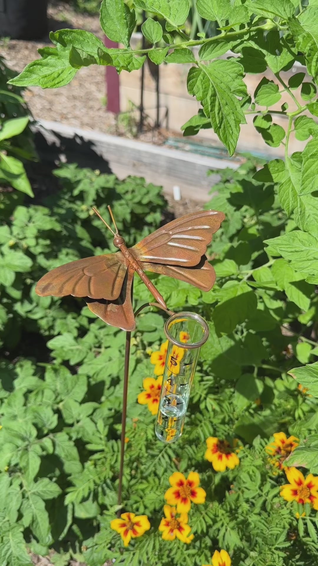 Happy Gardens - Butterfly Rain Gauge