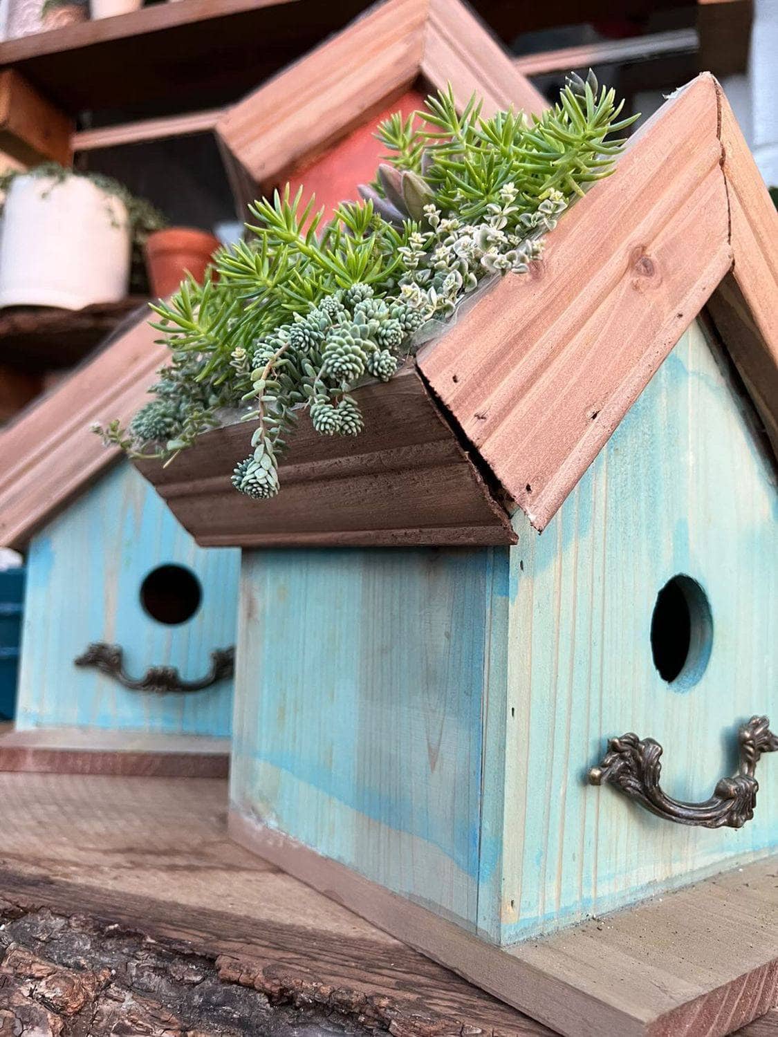 Amber Plantable Birdhouses - Happy Gardens