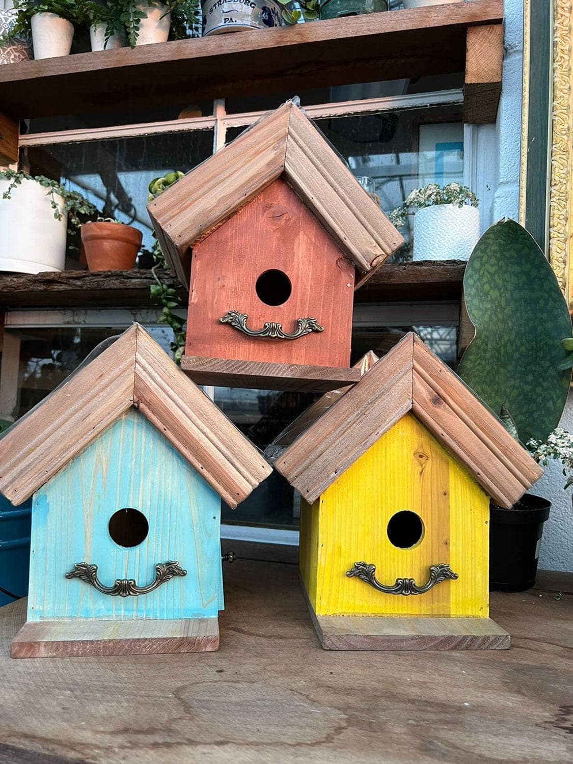 Amber Plantable Birdhouses - Happy Gardens