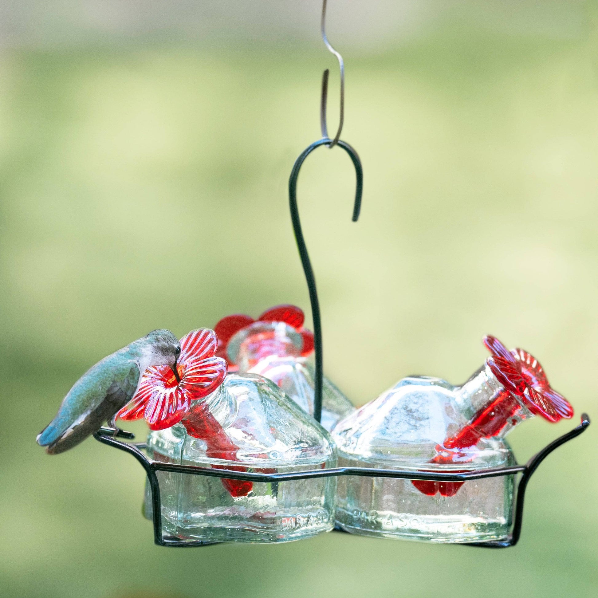 Bouquet-3 Hummingbird Feeder - Happy Gardens