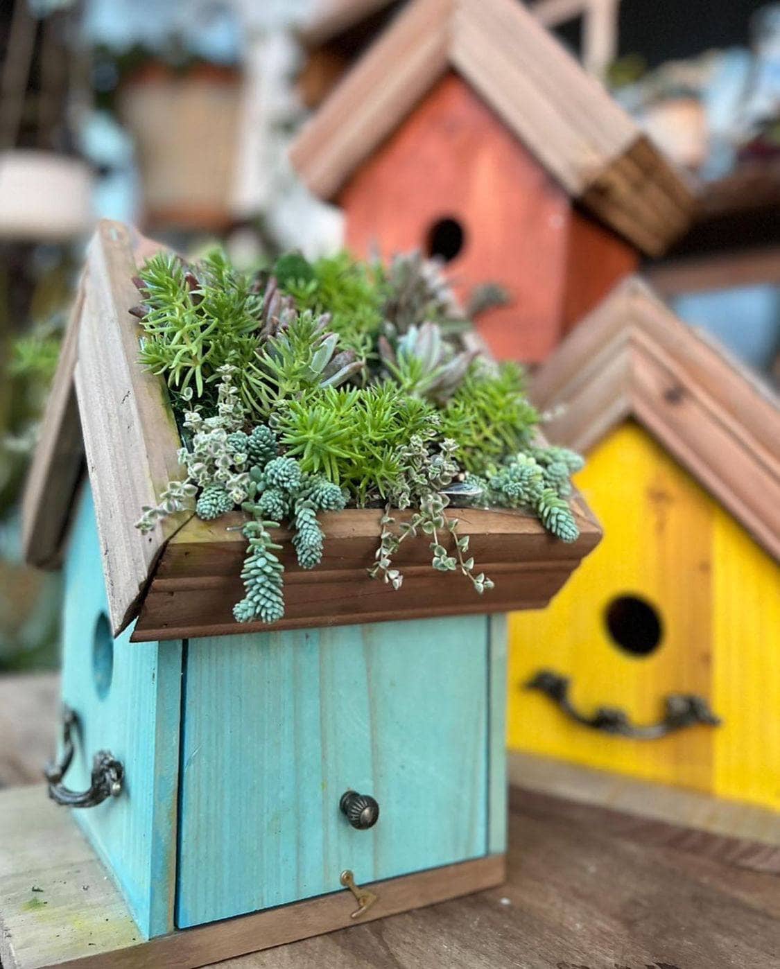 Amber Plantable Birdhouses - Happy Gardens