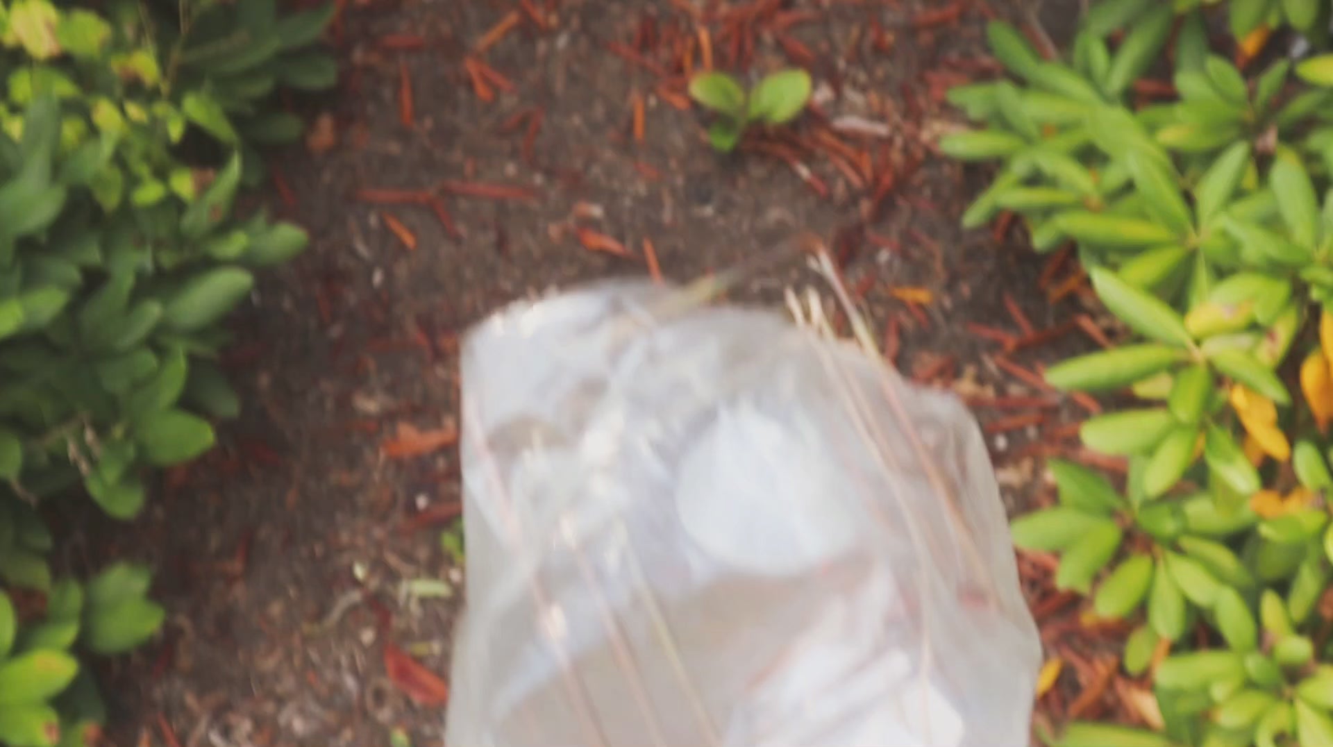 Happy Gardens - Diamond Tinker Bell Garden Stake