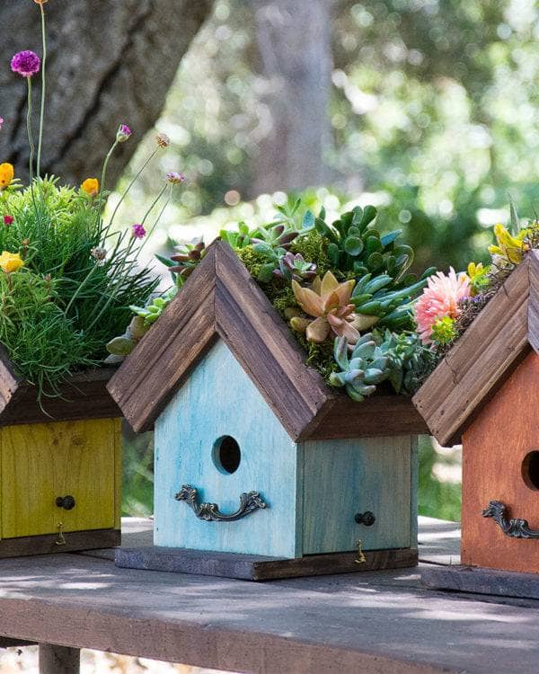 Amber Plantable Birdhouses - Happy Gardens