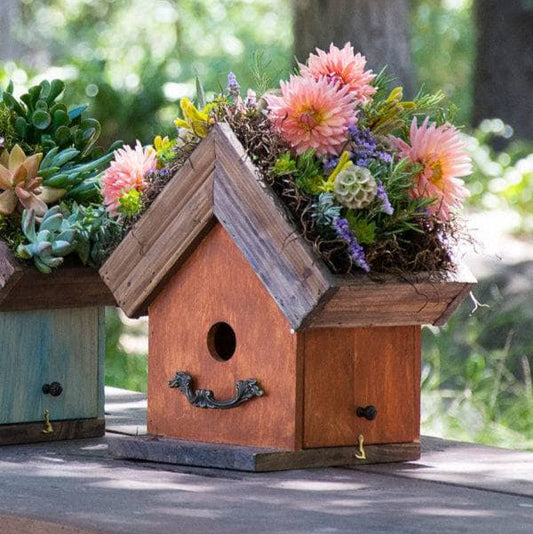 Amber Plantable Birdhouses - Happy Gardens