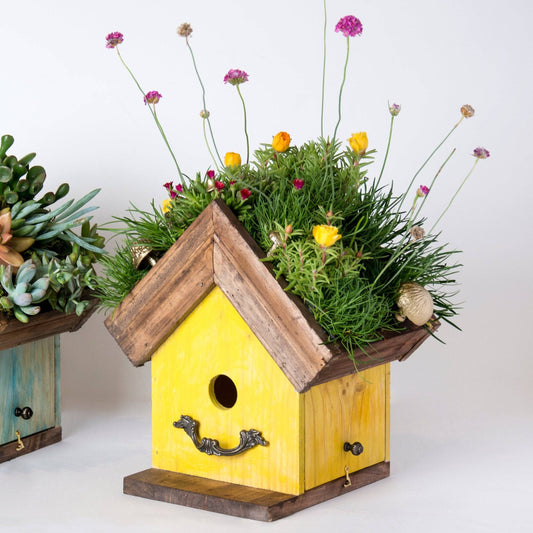 Amber Plantable Birdhouses - Happy Gardens