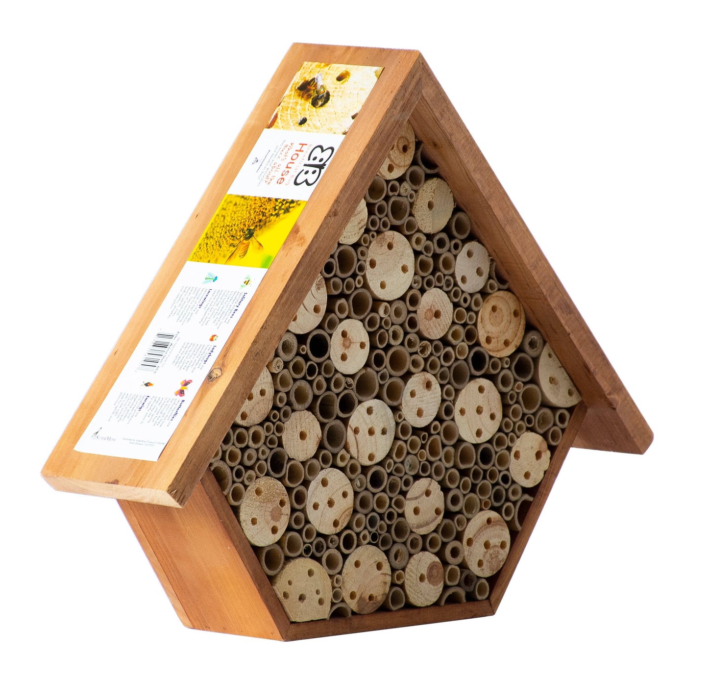 Beneficial Bug House Aster - Happy Gardens