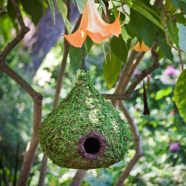 Raindrop Moss Woven Birdhouse - Happy Gardens