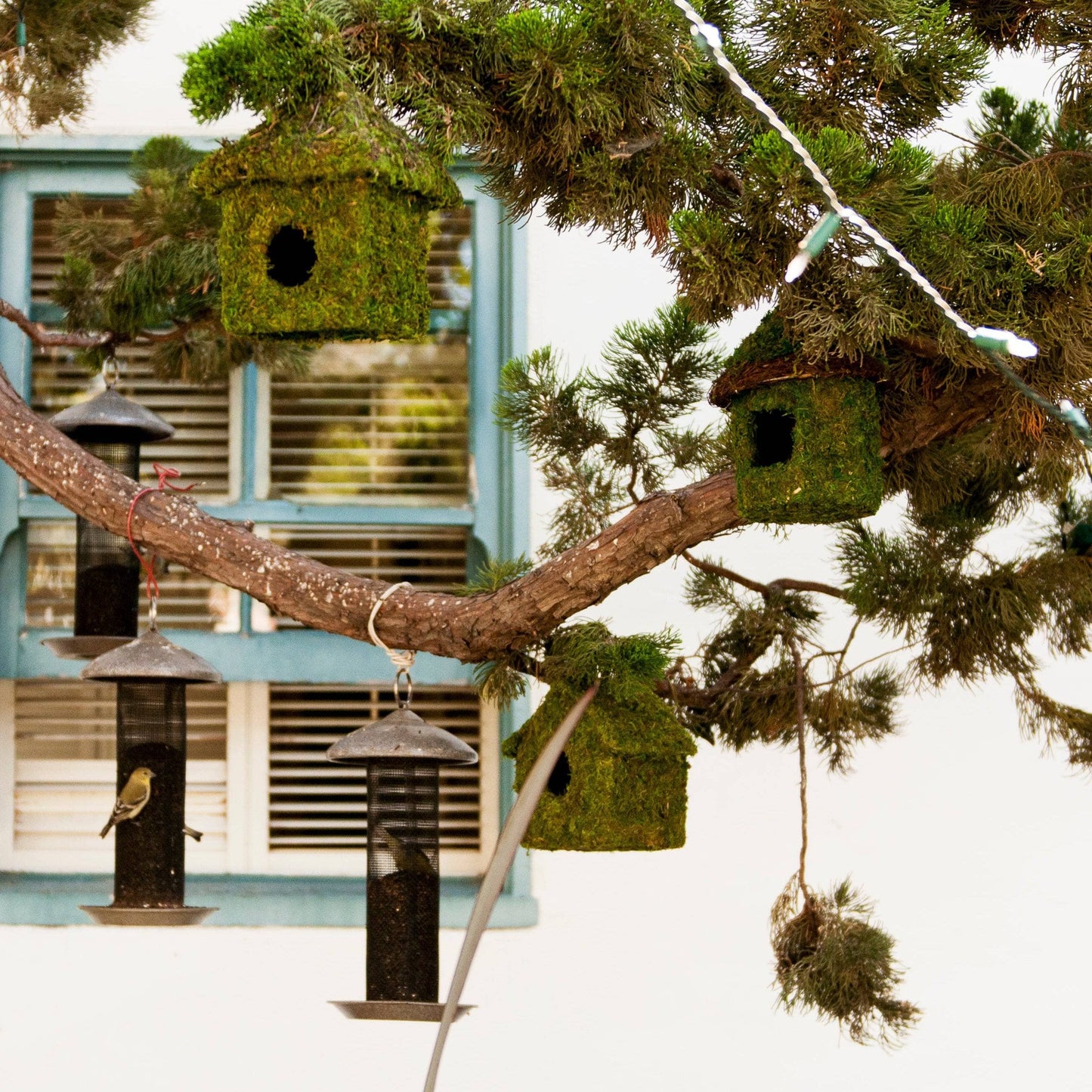 Bungalow Deco Birdhouse - Happy Gardens