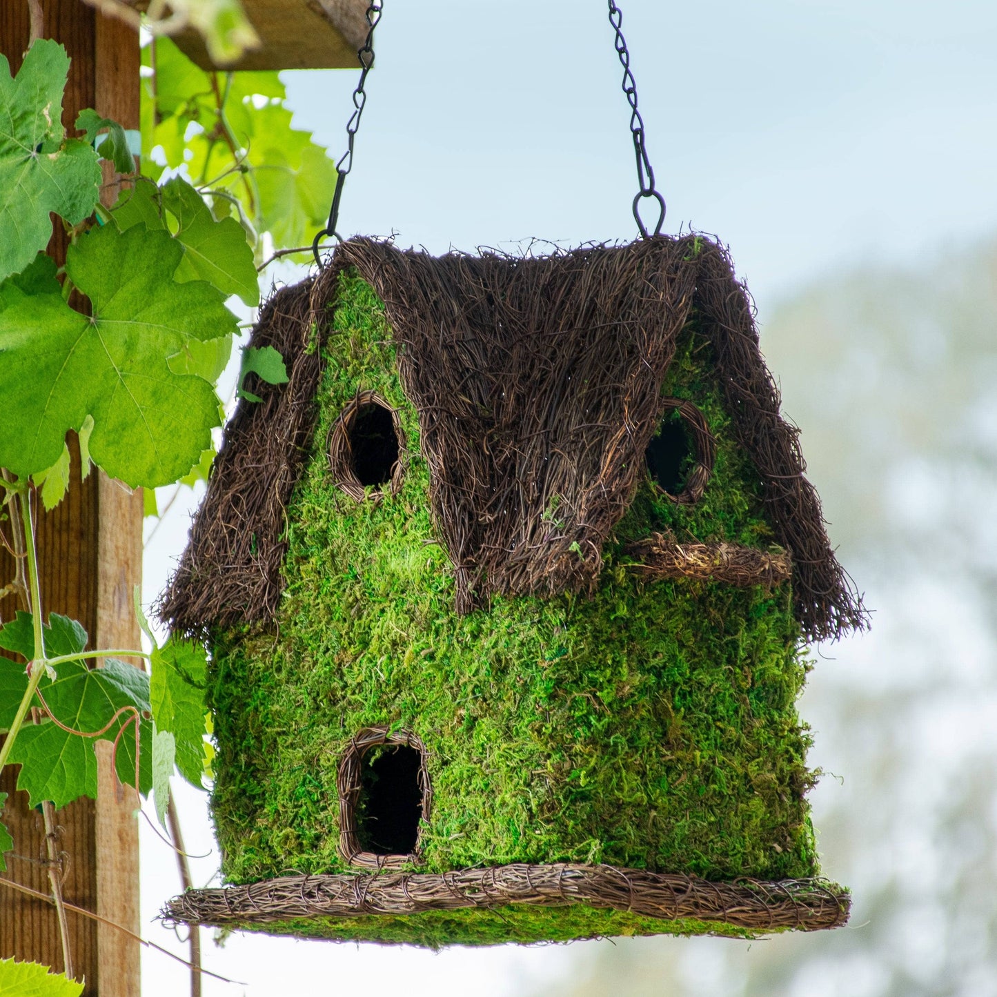 Chateau Moss Birdhouse - Happy Gardens