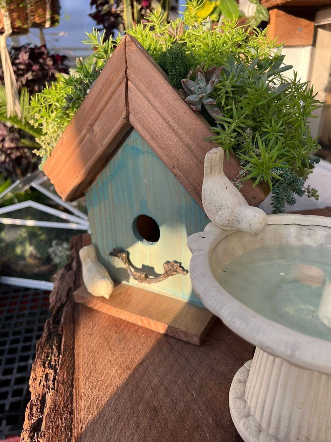 Amber Plantable Birdhouses - Happy Gardens