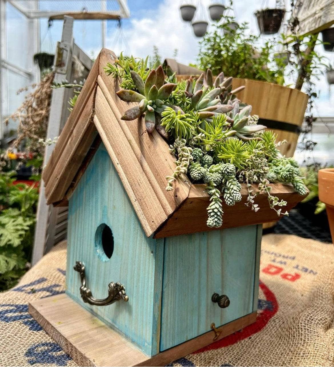 Amber Plantable Birdhouses - Happy Gardens