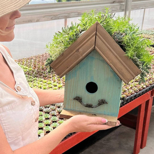 Amber Plantable Birdhouses - Happy Gardens