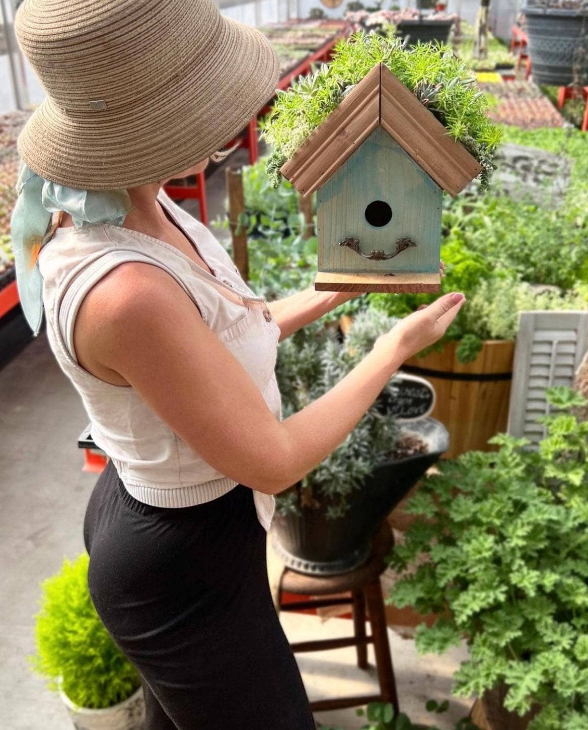 Amber Plantable Birdhouses - Happy Gardens