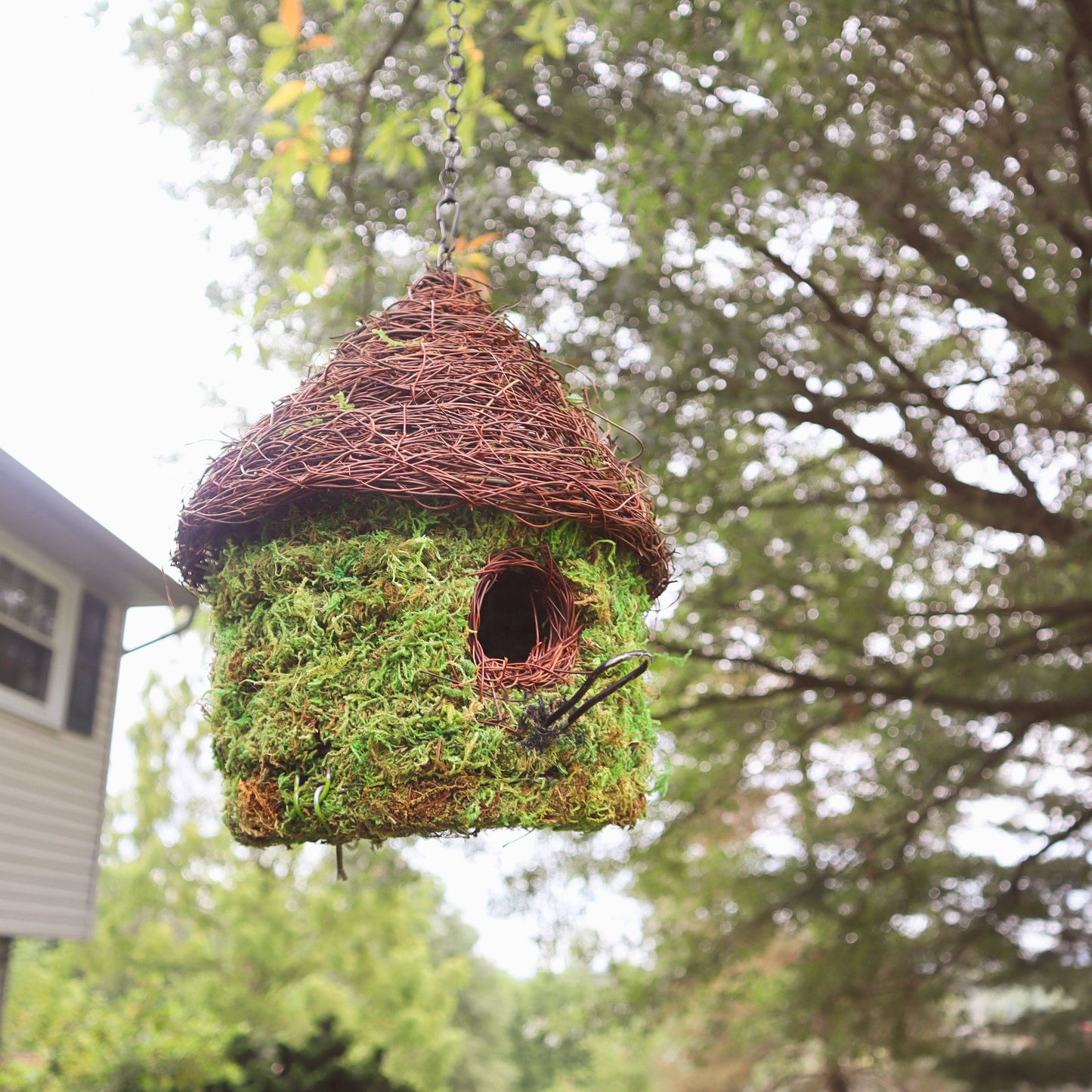 Woven Bungalow Moss Birdhouse - Happy Gardens