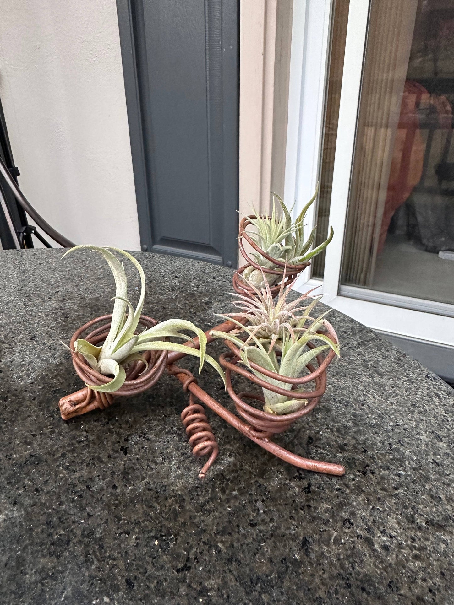 Happy Gardens - Triple Air Plant Holder