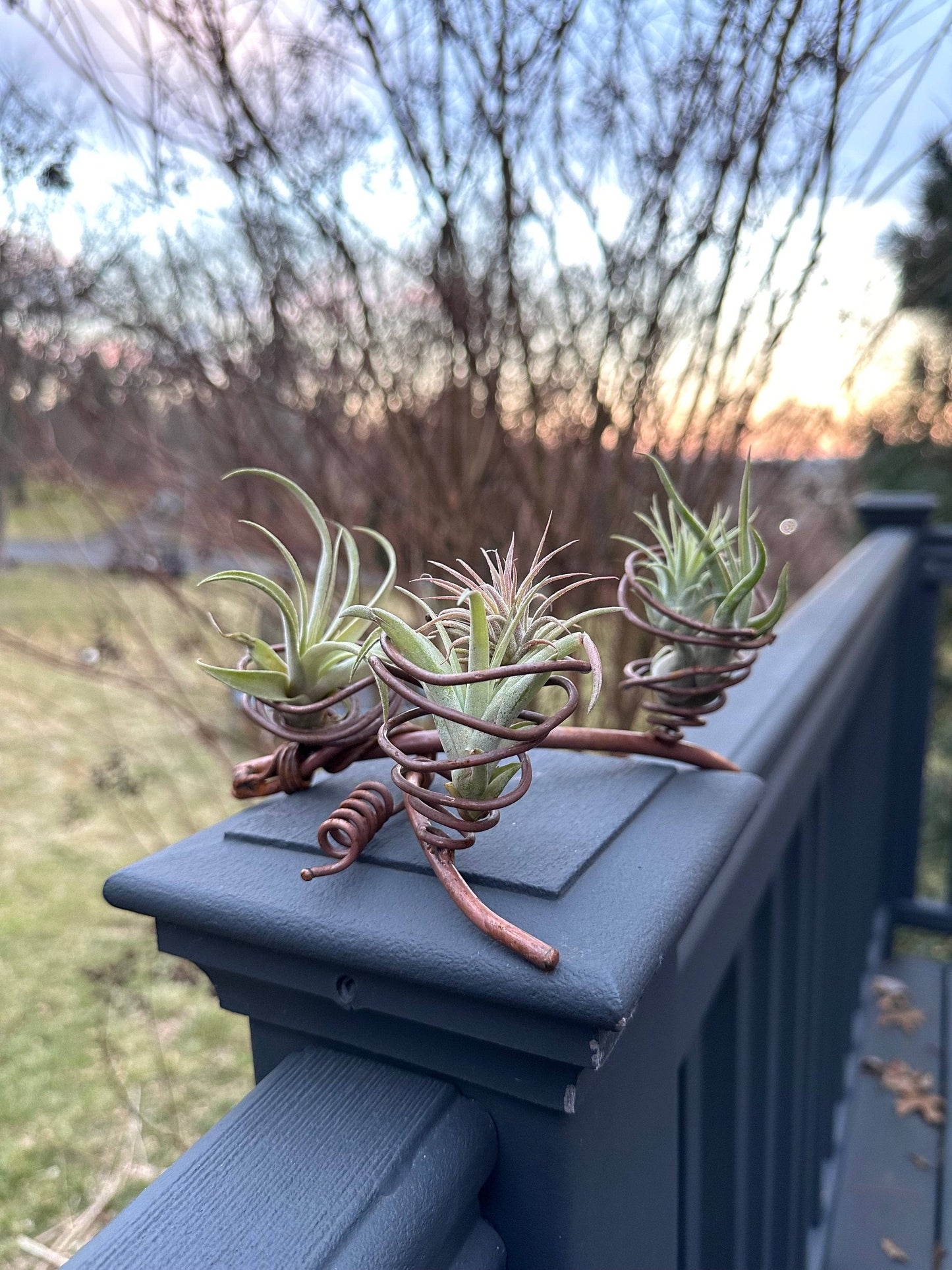 Happy Gardens - Triple Air Plant Holder